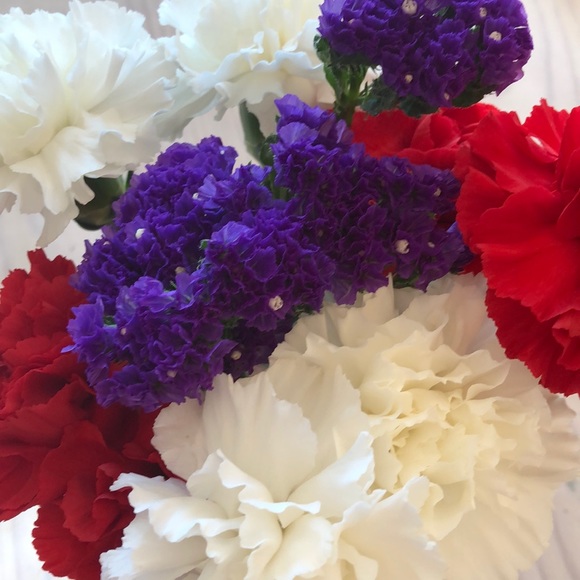 Meet your Posher, Cora - Picture 1 of 1